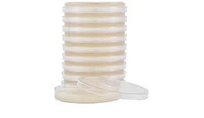 Potato Dextrose Agar (PDA). Placa 90x15mm.  